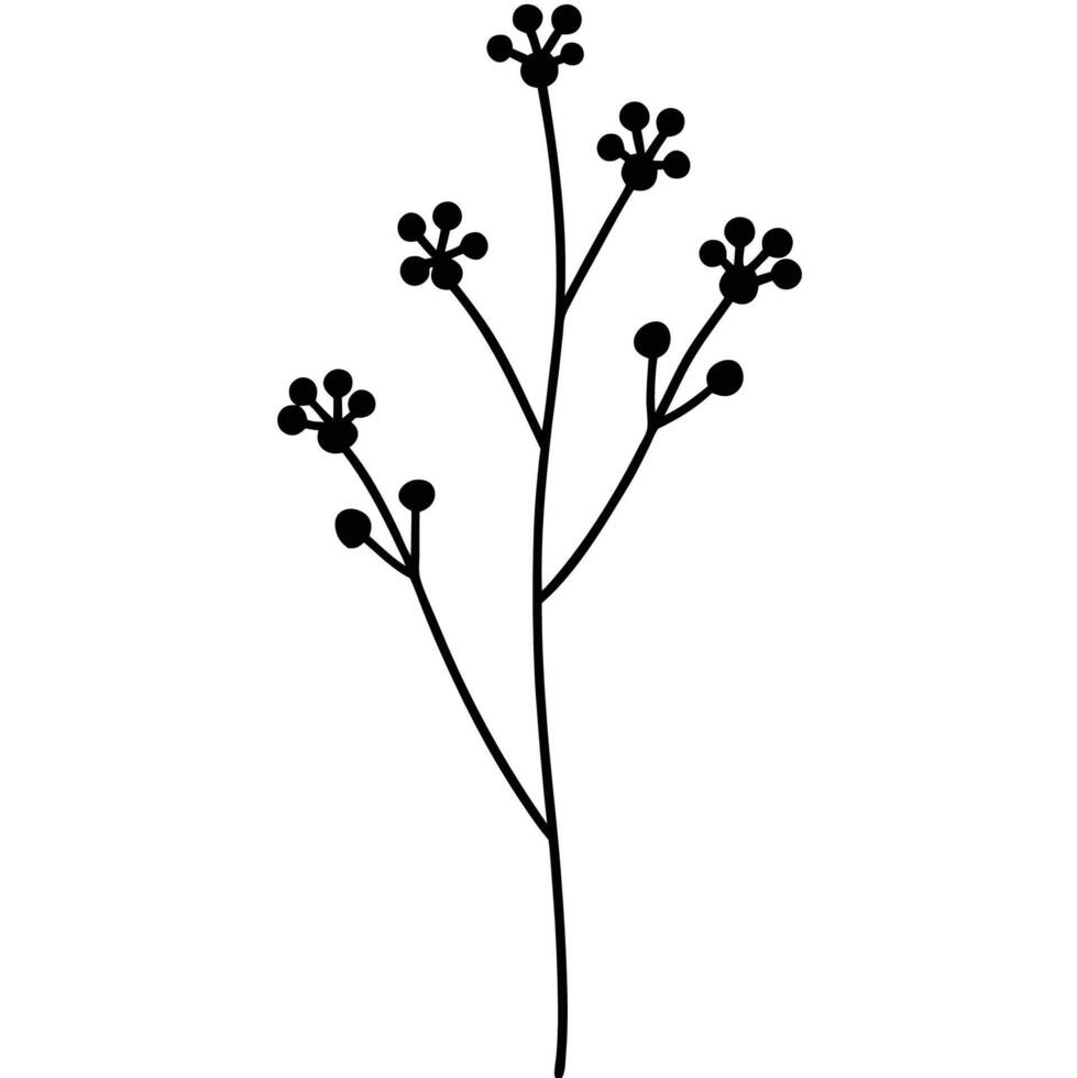 Wildflower with multiple small blooms on single elegant stem vector