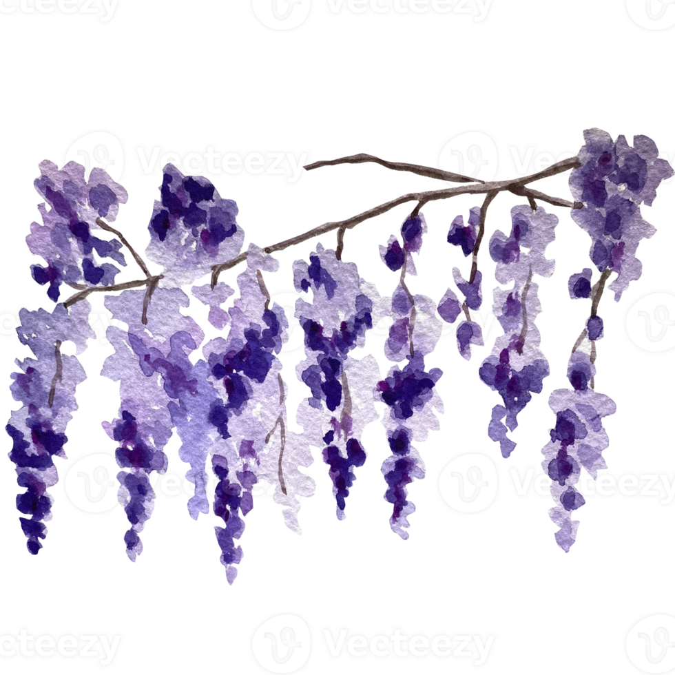 Watercolor bush tree side view illustration. png