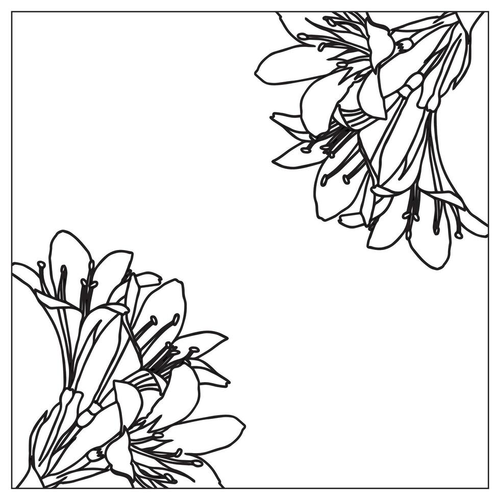 Frame with lily flowers for your design. Doodle style. vector