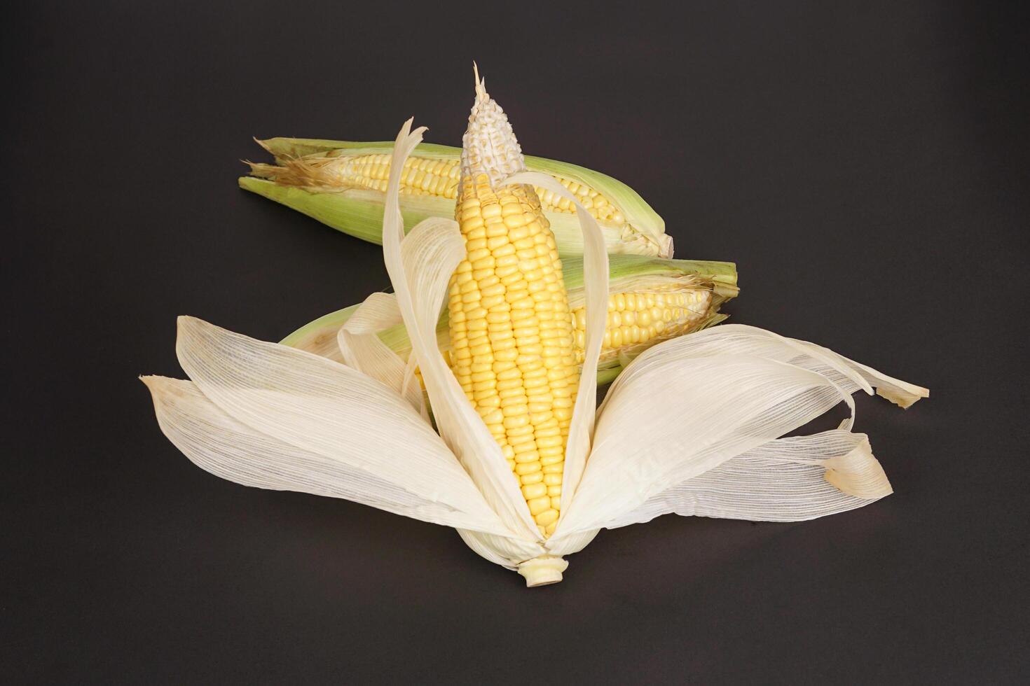 Raw corn on a black background photo