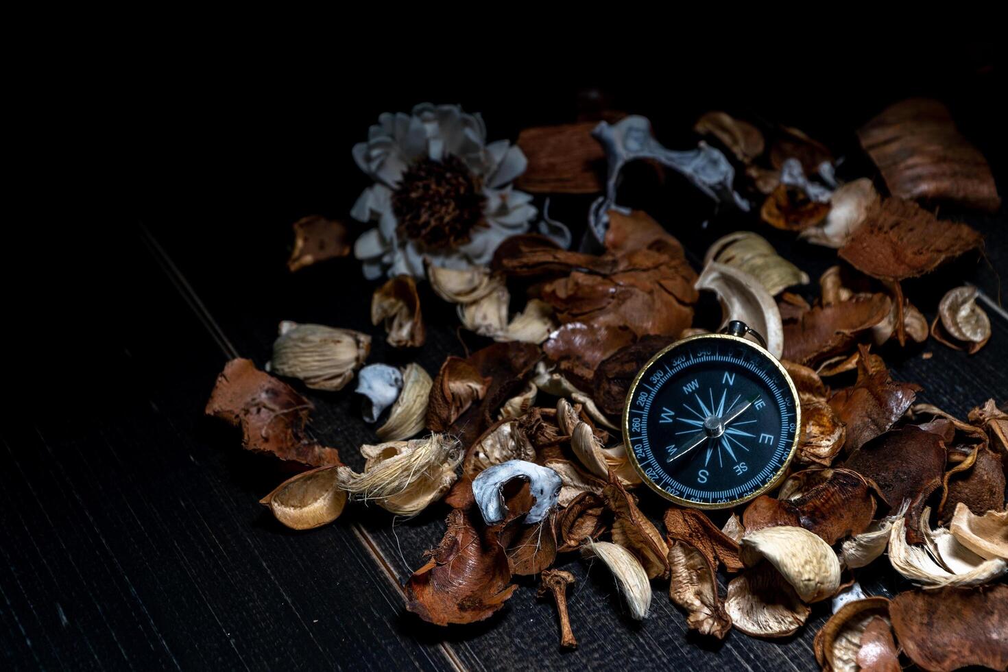 golden compass put on dried leaves on wooden retro black table photo