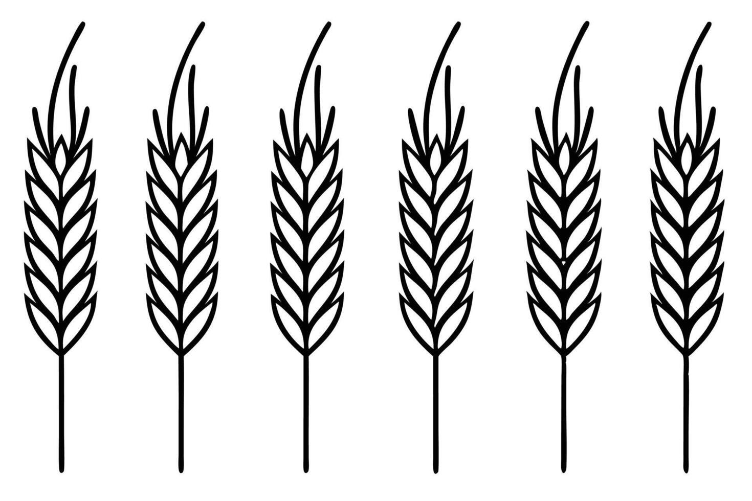 Barley farming tips for maximizing harvest success vector