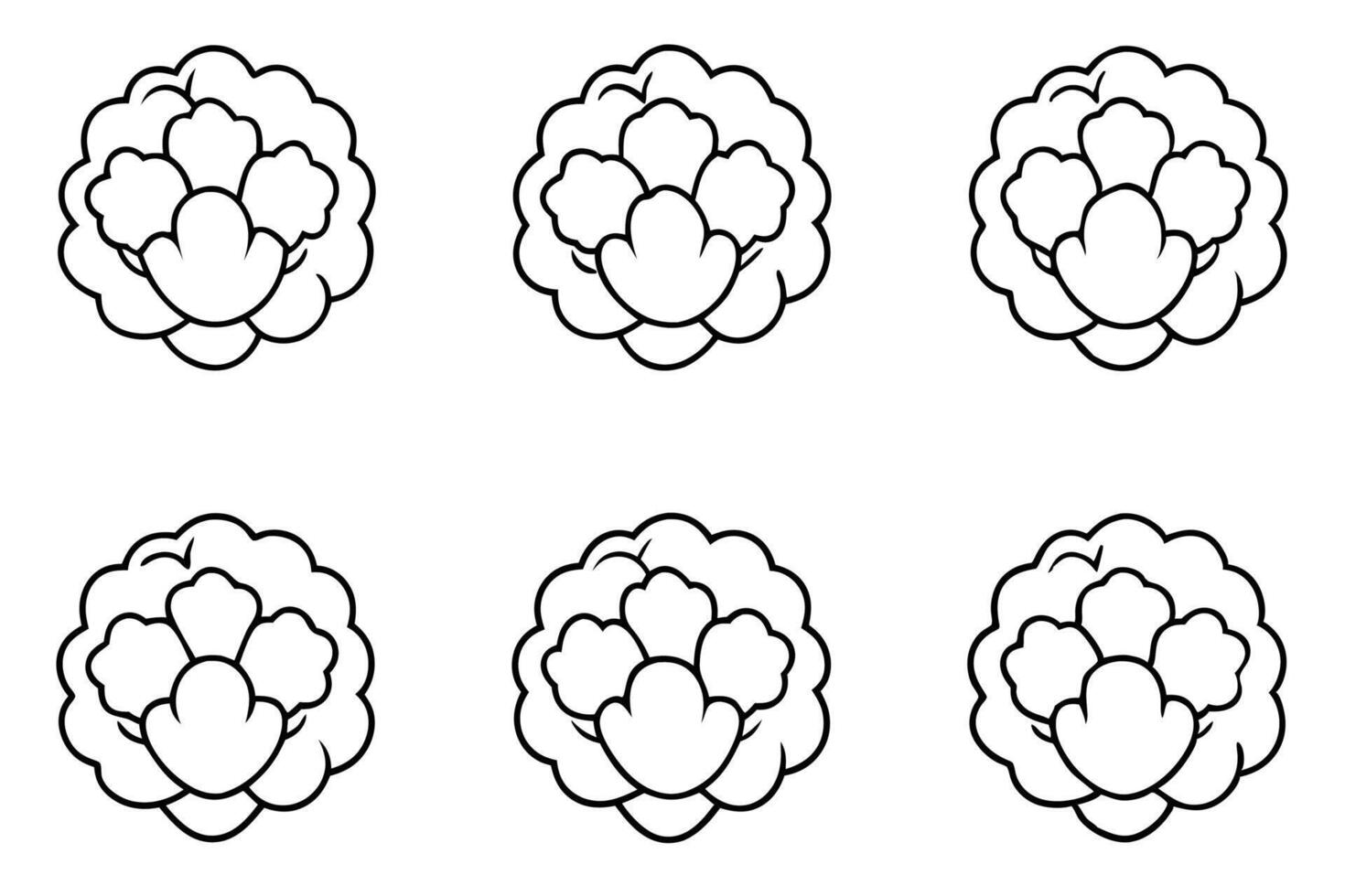 Cauliflower Nutritional Value for Your Healthy Lifestyle vector
