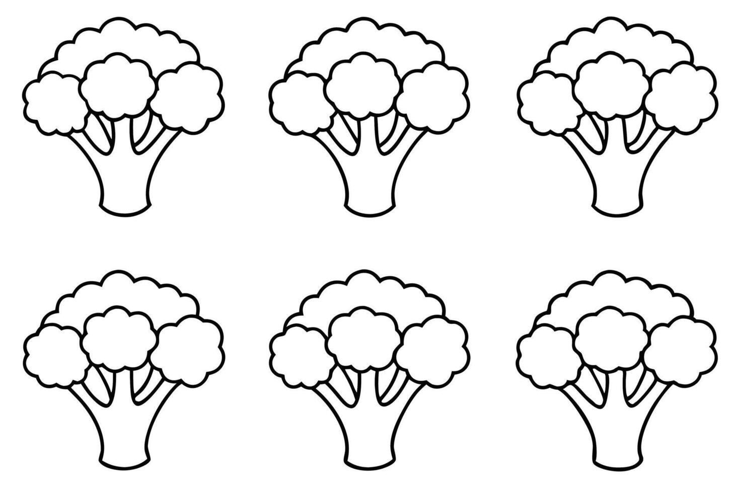 Broccoli Can Support Your Immune System Naturally vector