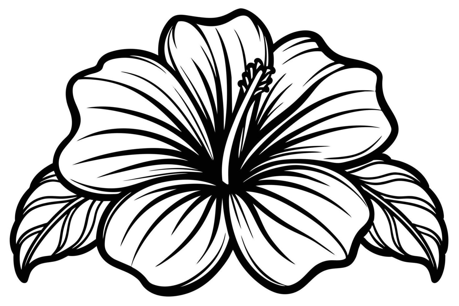 Elegant Black and White Hibiscus Flower Illustration vector