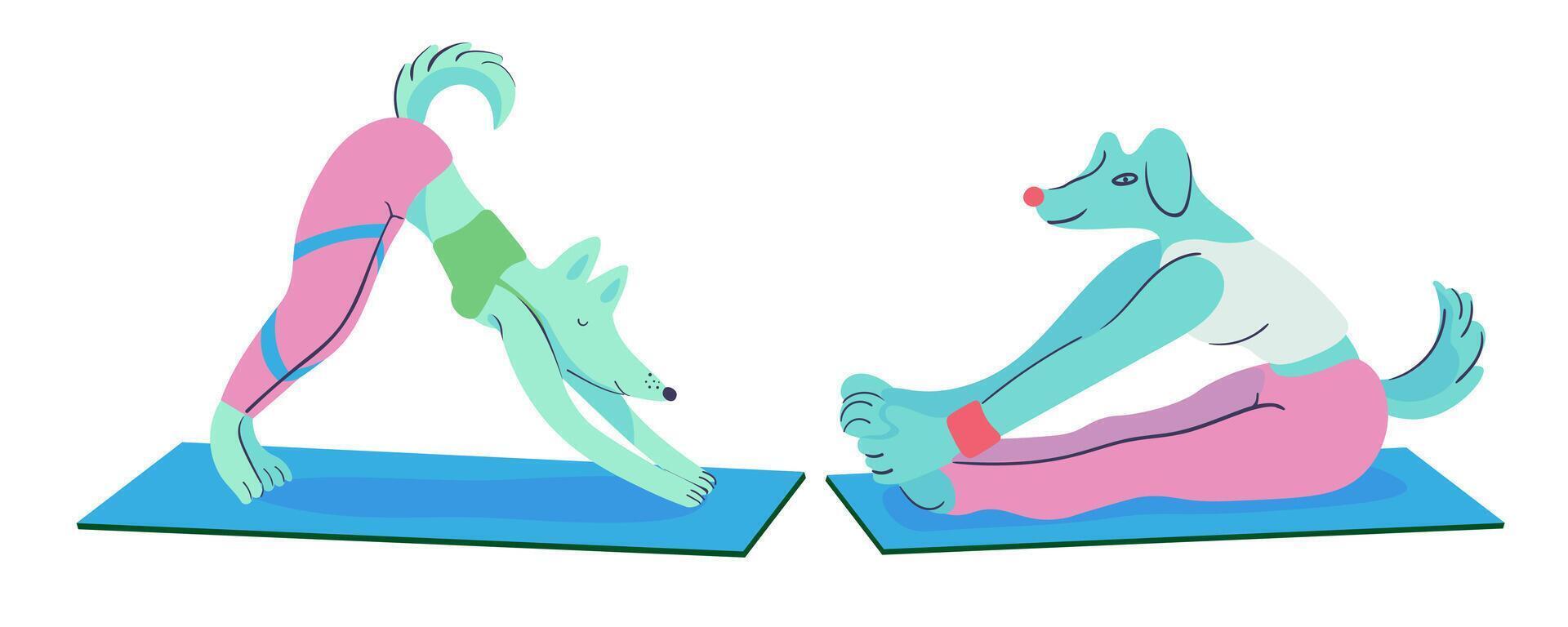small set of doing yoga furry dogs vector
