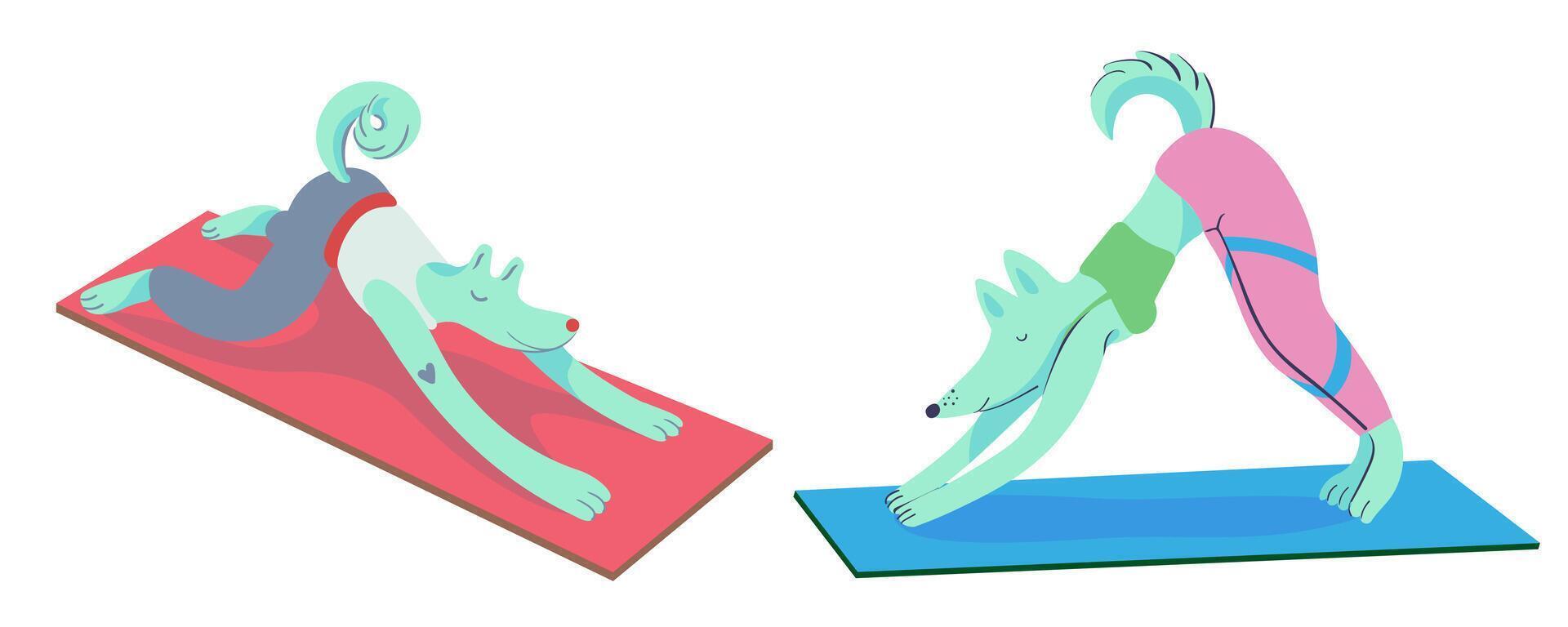 two doing yoga furry dogs vector