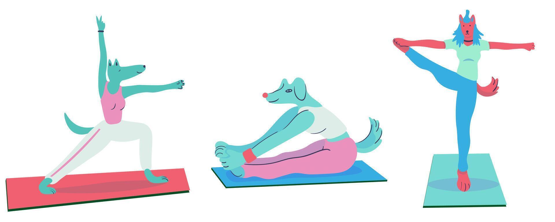 small set of doing yoga furry dogs on colored mat vector