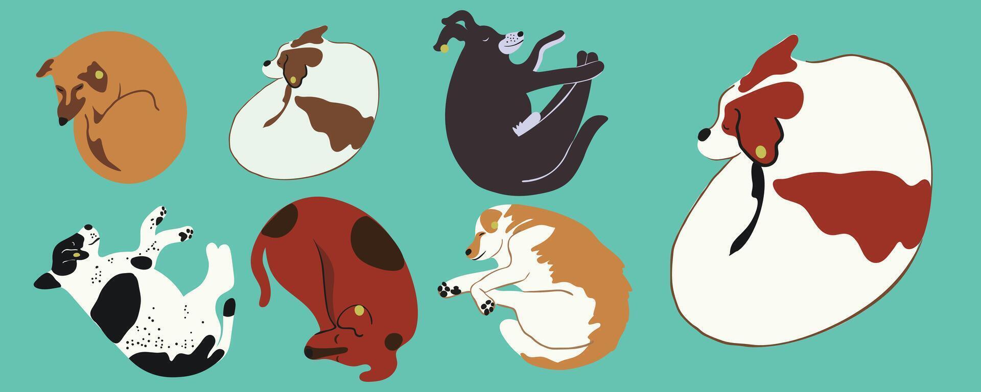 big sleeping dog set vector