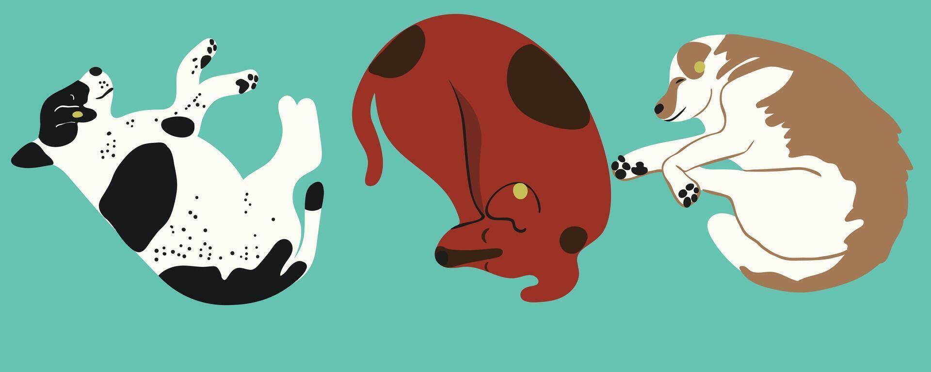 different sleeping dogs set vector