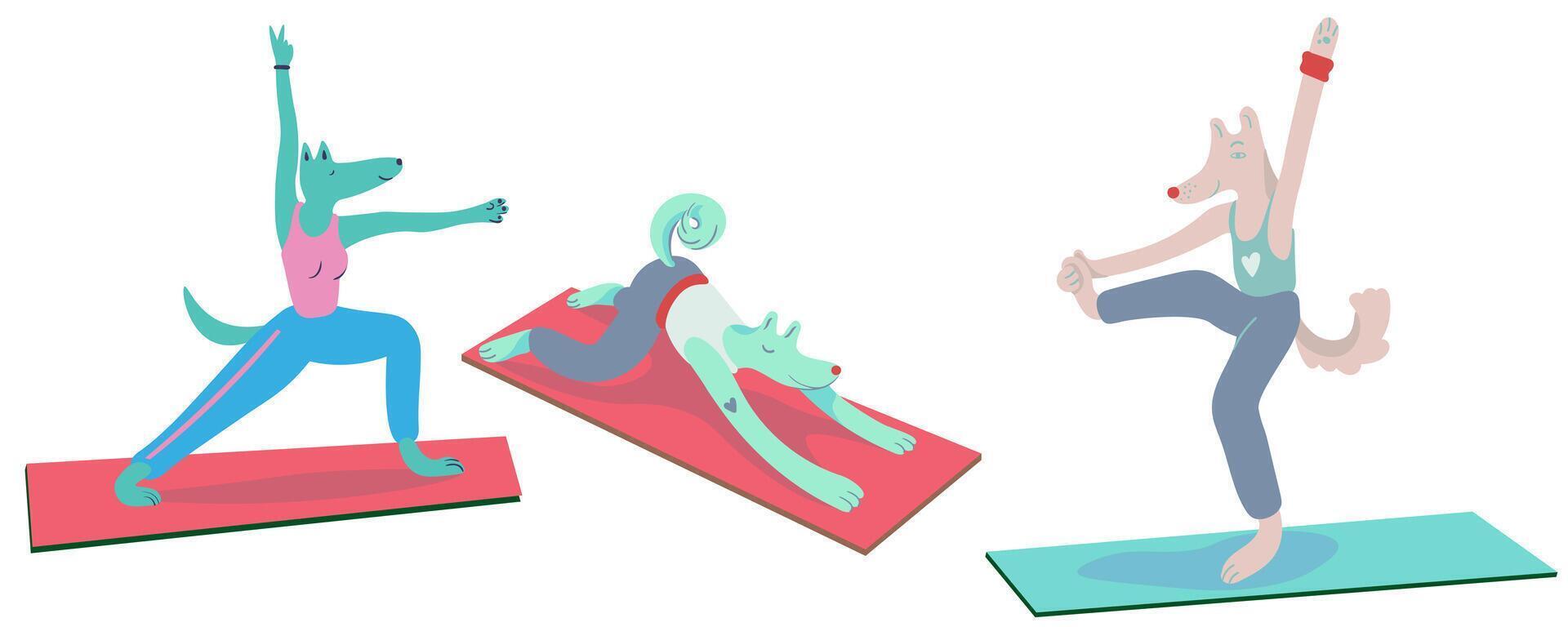 middle big set of doing yoga furry dogs vector
