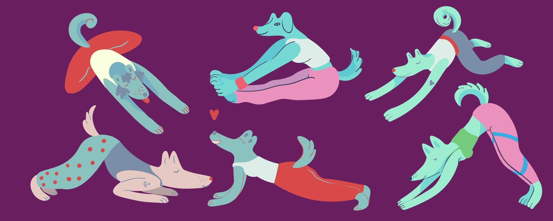 big set of doing yoga furry dogs vector