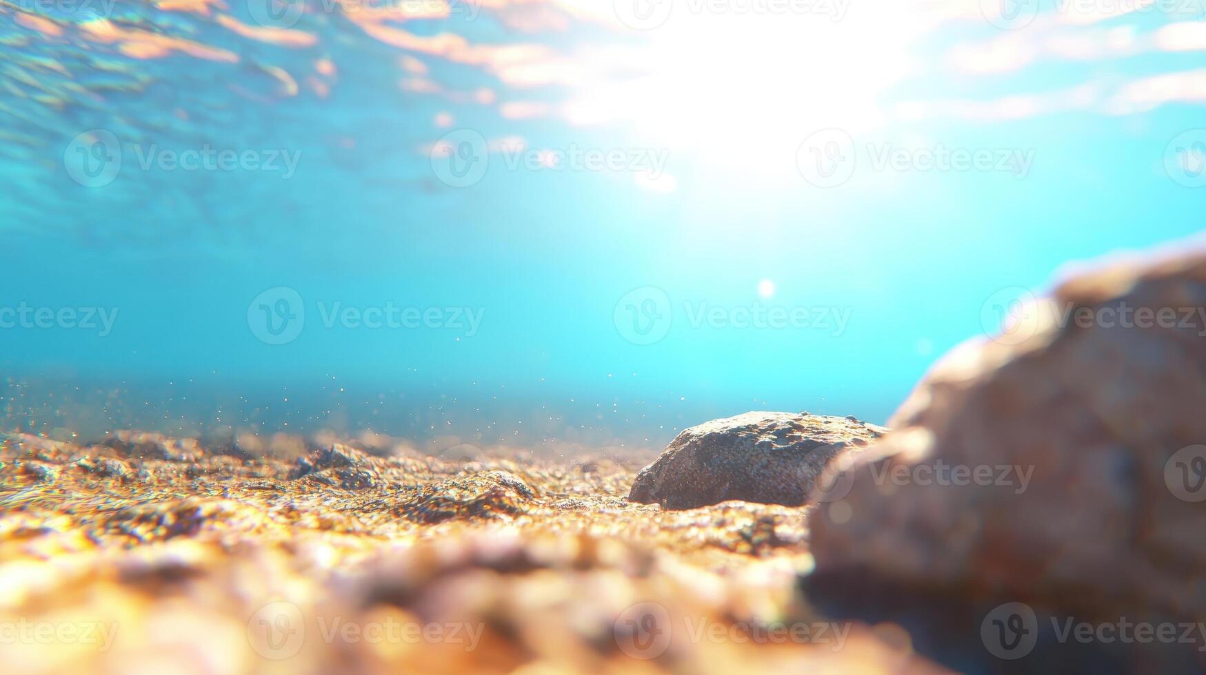 Sunlit Underwater Scene Ocean Floor with Rocks and Sandy Bottom Clear Turquoise Water photo