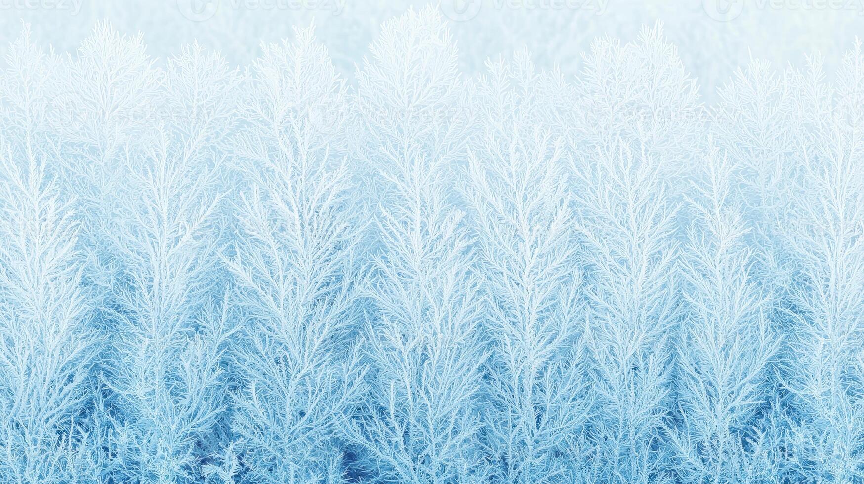 Serene Winter Wonderland Frost Covered Branches Blue Hues Nature Background photo