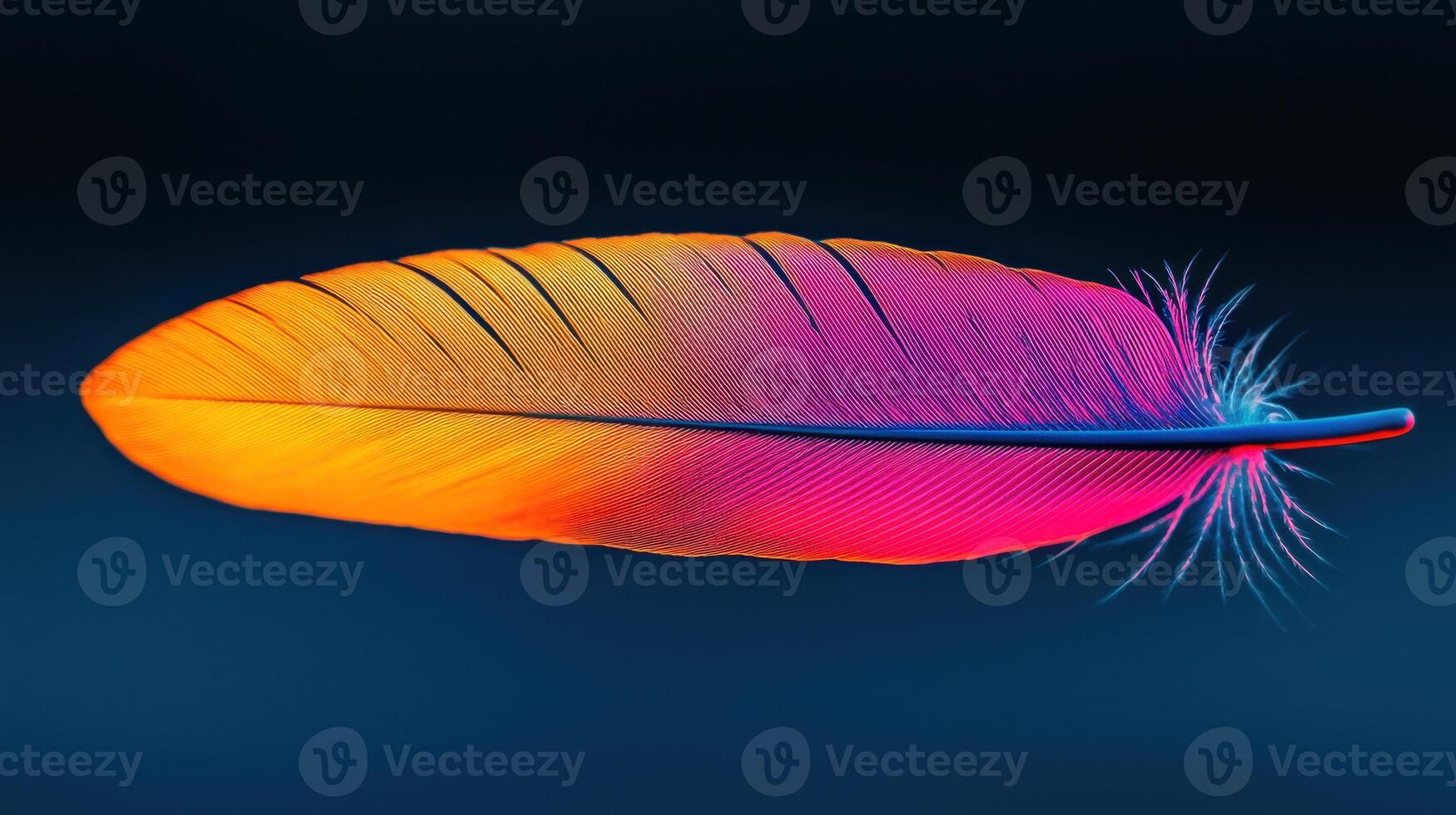Vibrant Neon Pink and Orange Bird Feather Close up Macro Photography photo