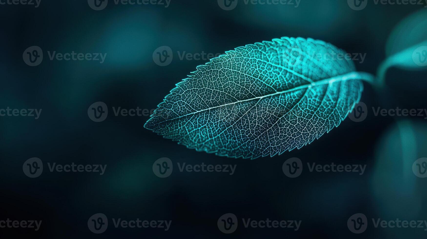 Close up Teal Leaf Vein Detail Nature Macro Photography Botanical Abstract Background photo