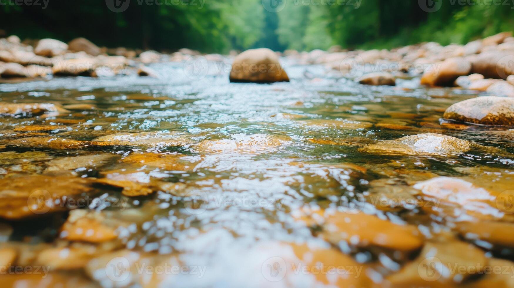 Crystal Clear Stream Water Flowing Over Smooth River Rocks in a Forest photo
