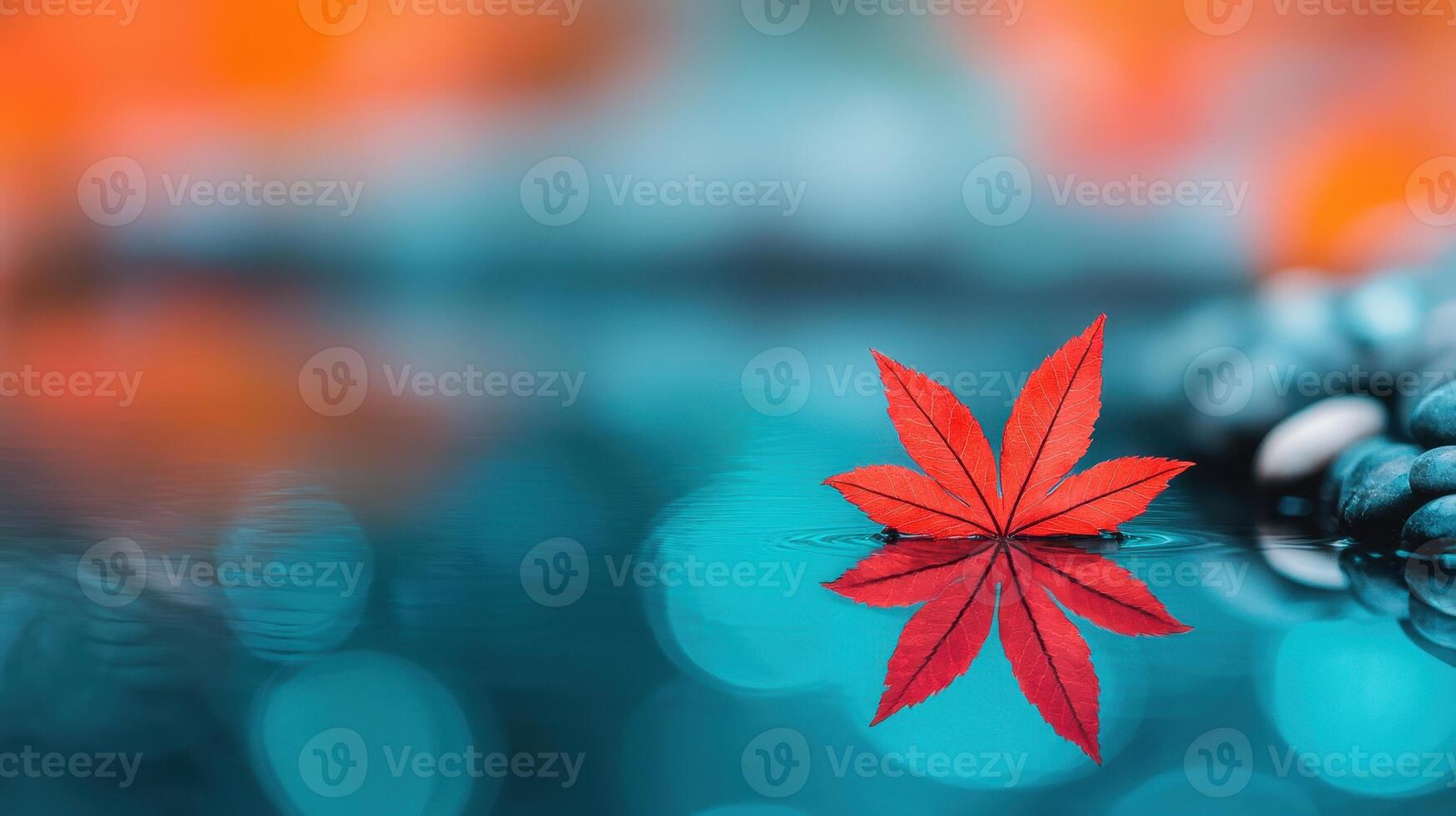 Serene Autumn Scene Red Maple Leaf Floating on Teal Water with Stones photo