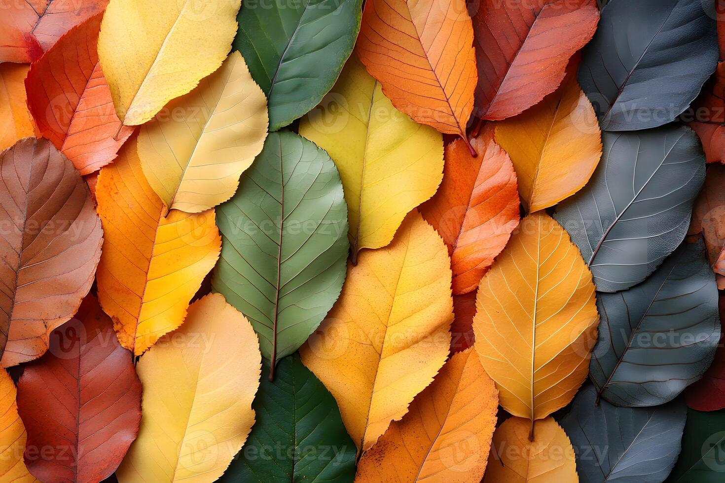 Abstract Autumn Leaves Pattern for Seasonal Design and Decor Projects photo