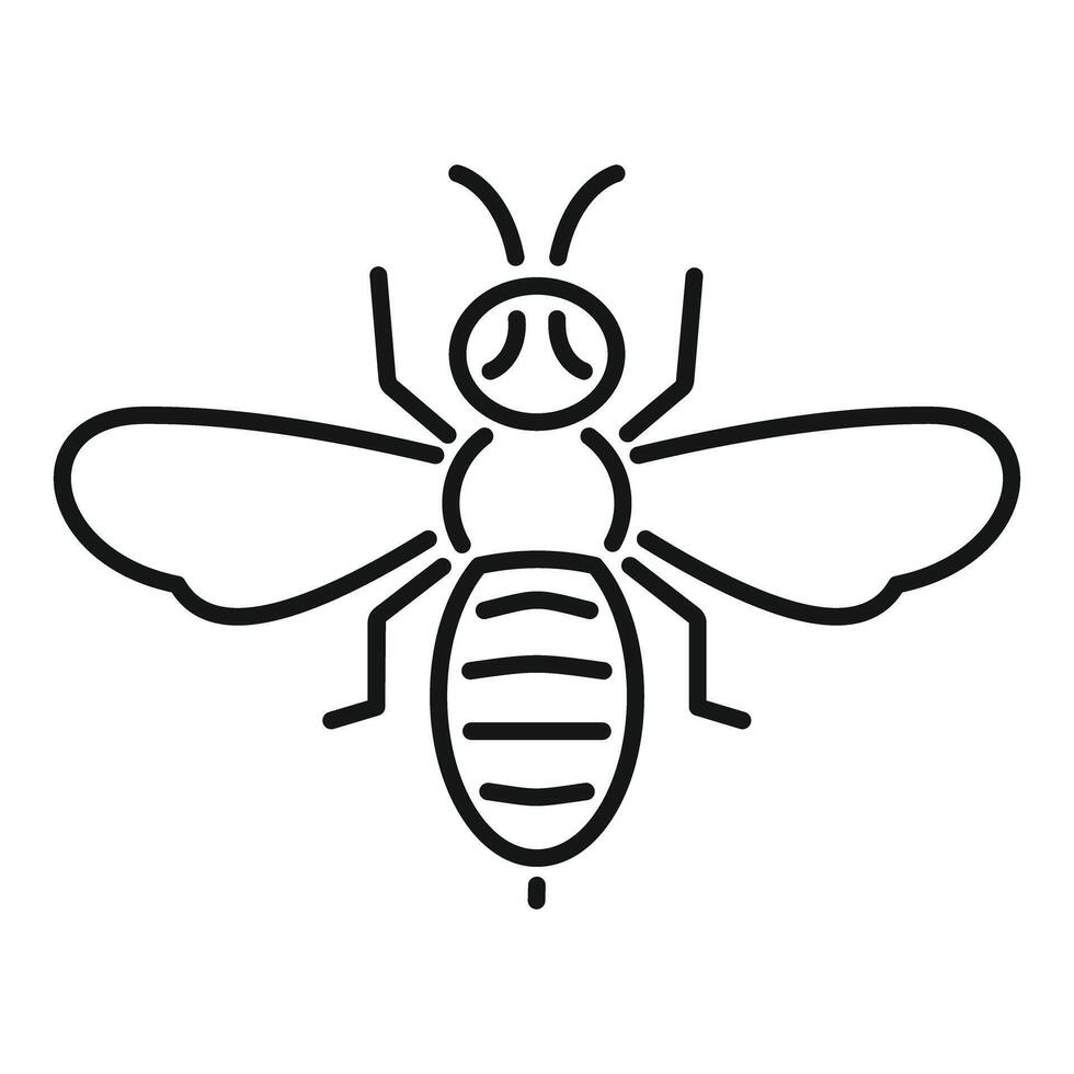 Honey bee flying showing wings and stripes in simple line art style vector