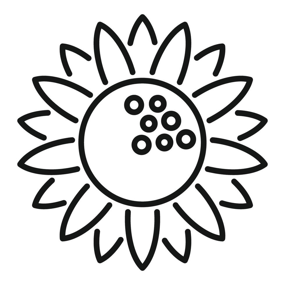 Sunflower with seeds blooming showing nature and growth vector