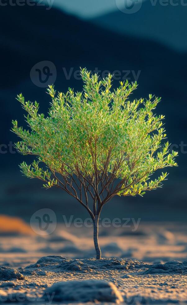A small tree is standing in a desert. The tree is surrounded by rocks and the sky is in the background. Concept of solitude and isolation, as the tree stands alone in the barren landscape photo