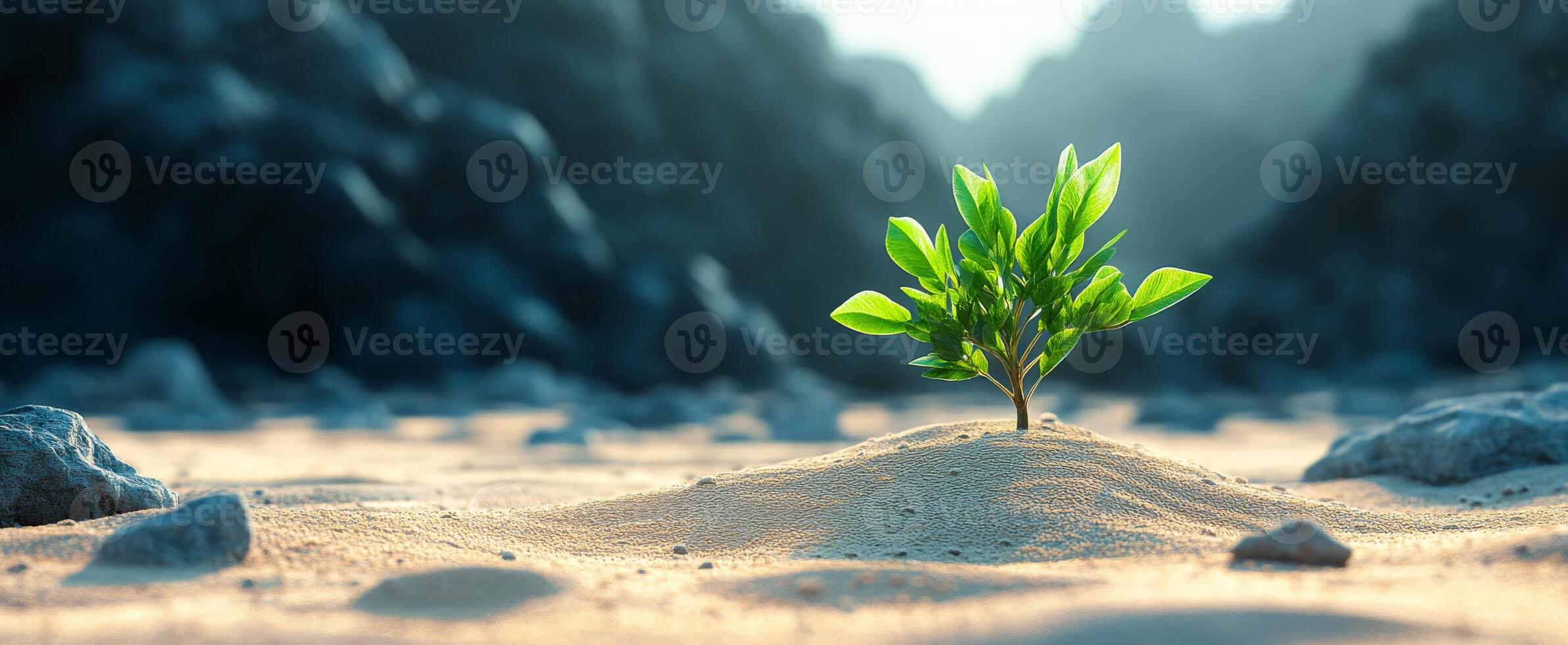 A small green plant is growing in the sand on a rocky mountain. Concept of resilience and hope, as the plant is able to grow and thrive in such a harsh environment photo