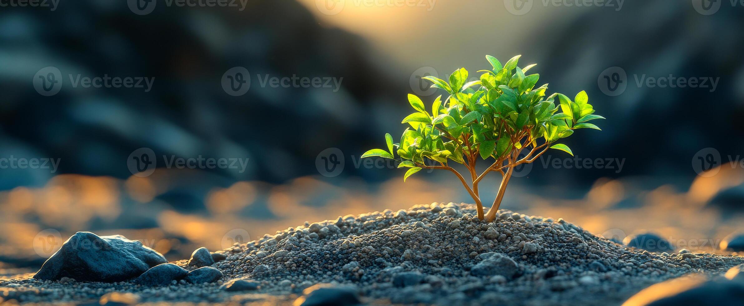 A small tree is growing in a rocky area. Concept of resilience and hope, as the tree is able to grow and thrive in an unlikely environment photo