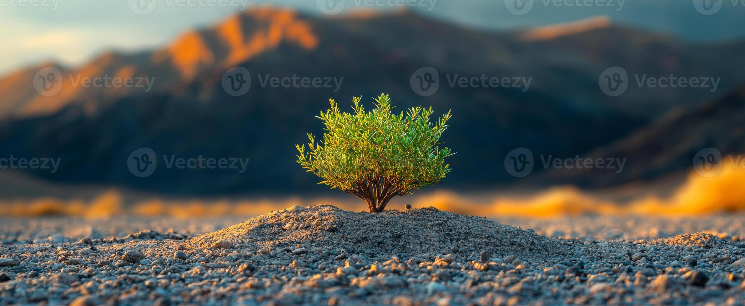 A small tree is growing in the desert. Concept of resilience and hope, as the tree is able to survive in such a harsh environment photo