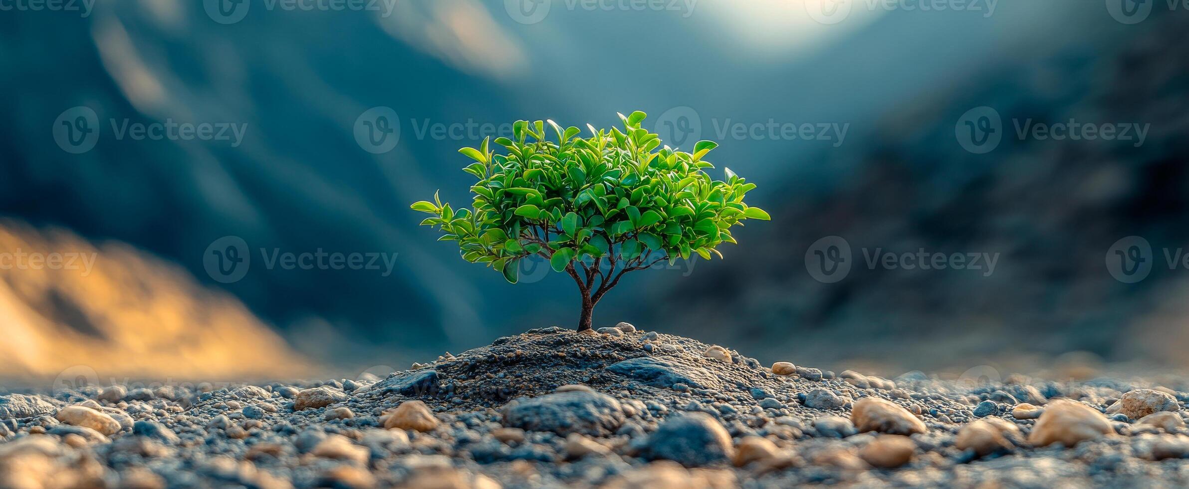 A small tree is growing on a rocky hillside. Concept of resilience and hope, as the tree is able to thrive in a harsh environment photo