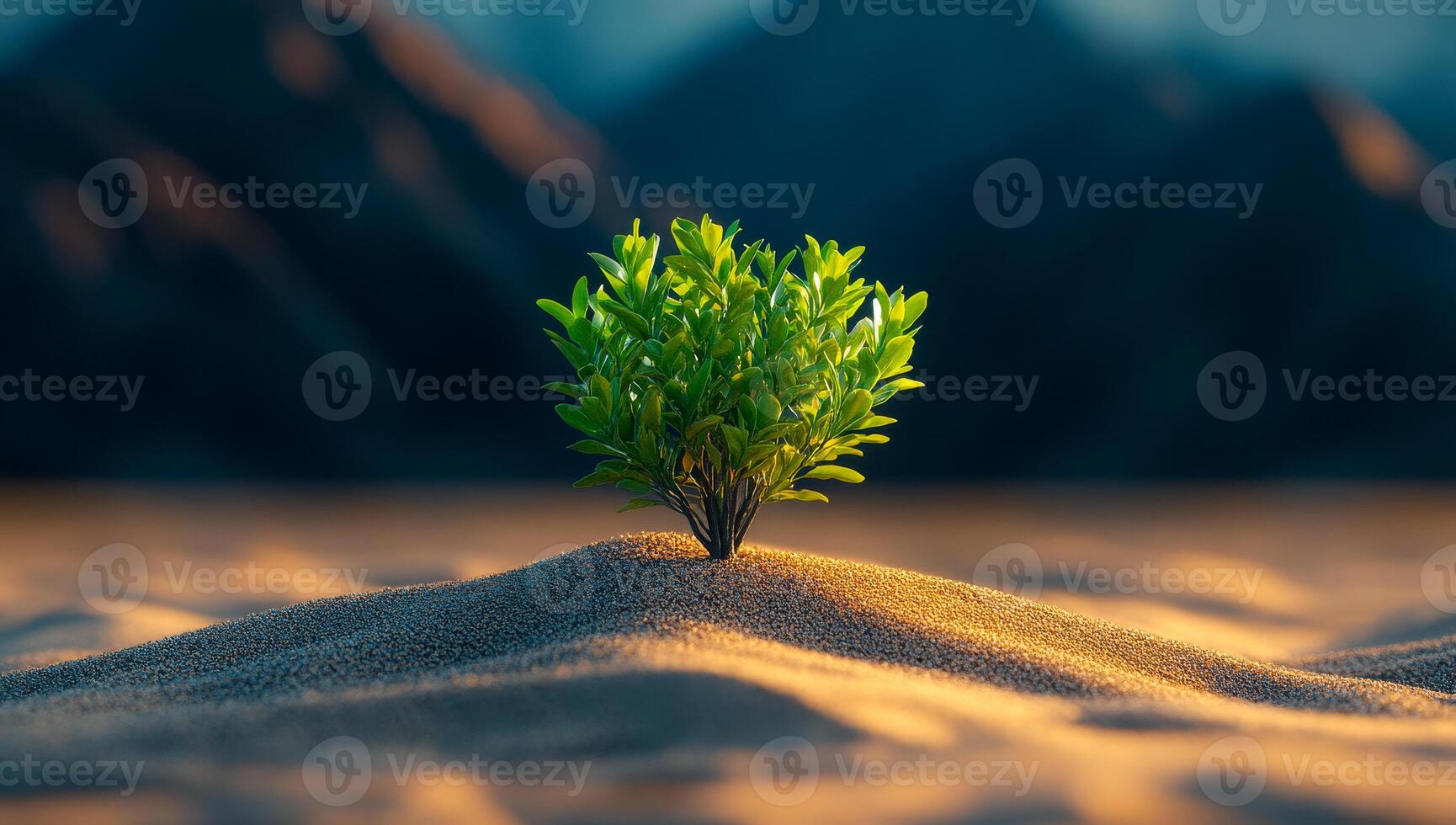 A small green tree is growing on a sandy hill. Concept of resilience and hope, as the tree is able to grow and thrive in a harsh environment photo