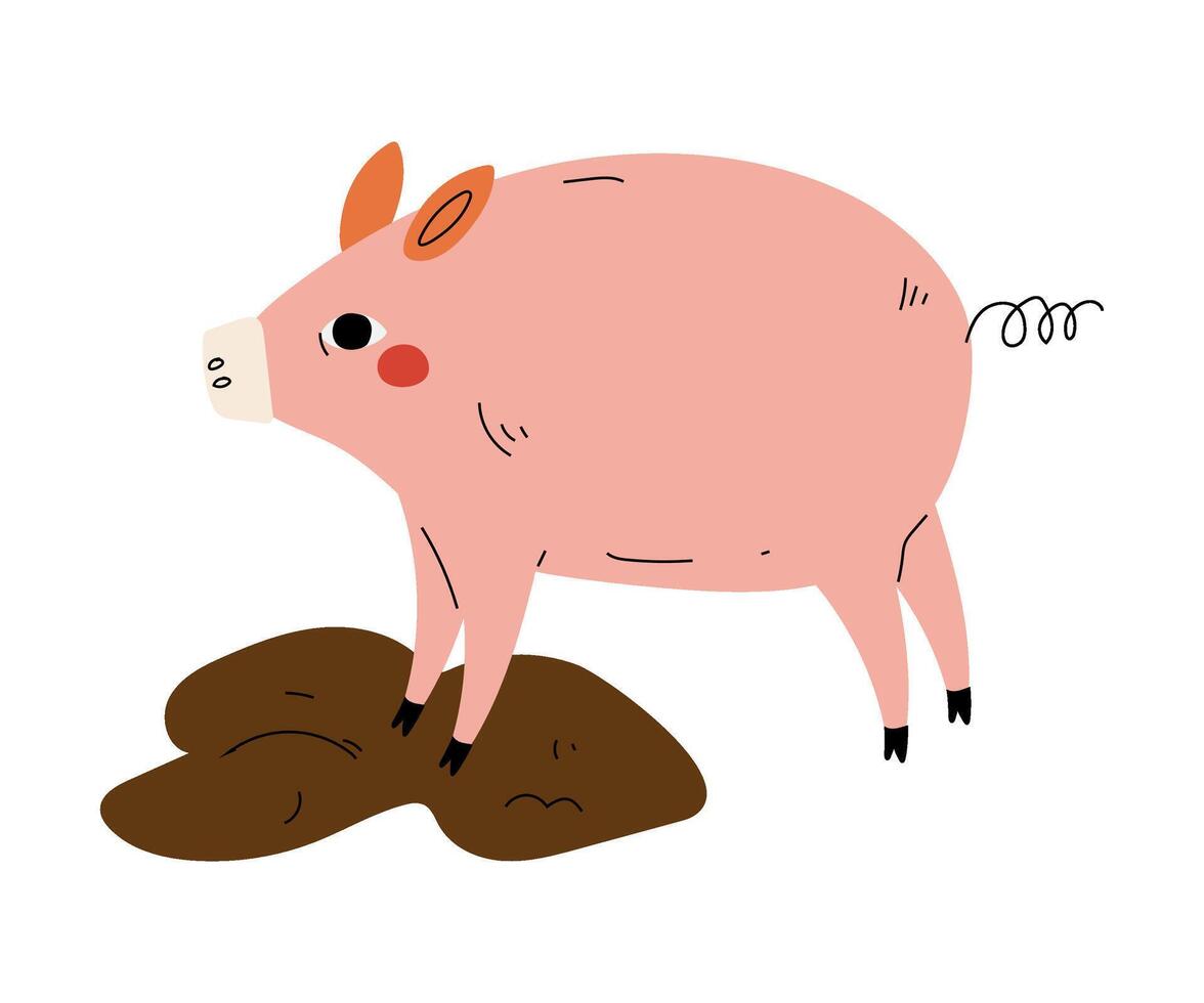 Pig in Dirty Puddle, Agriculture, Farm Animal Illustration vector