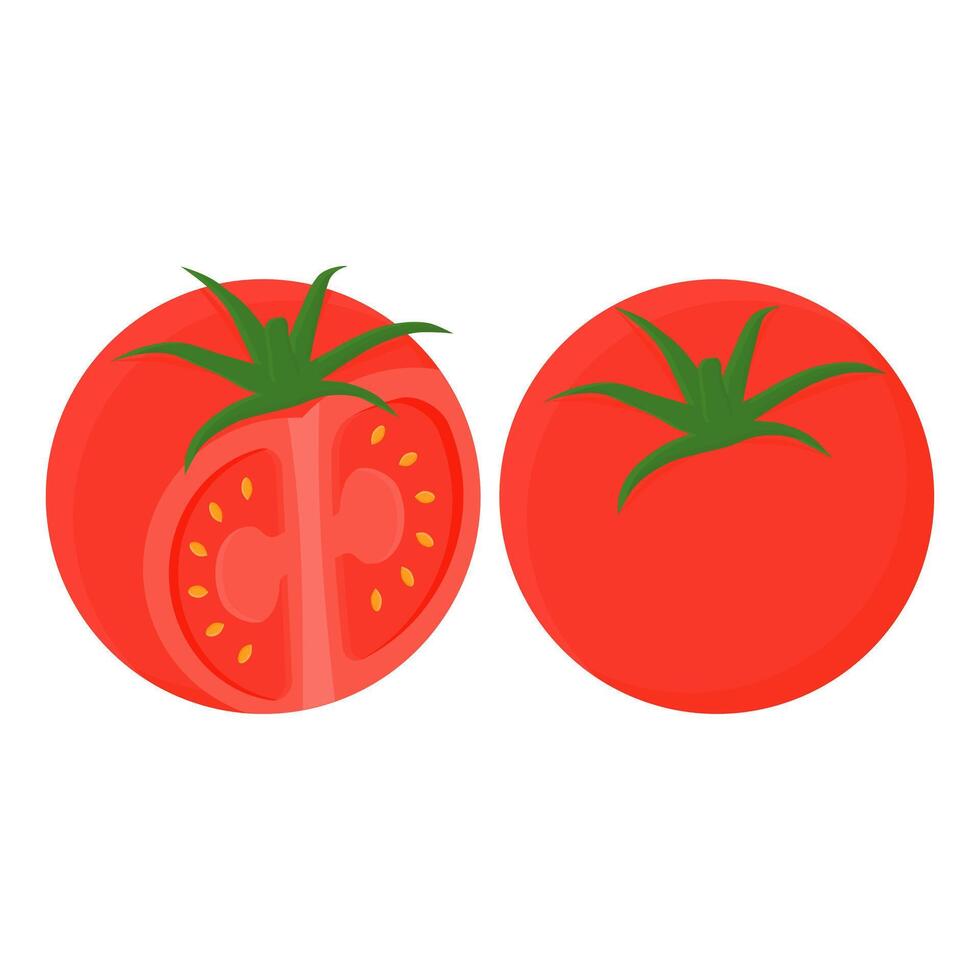 Fresh Red Tomato. Healthy Tomato Element. Fresh Tomato Slice. vector