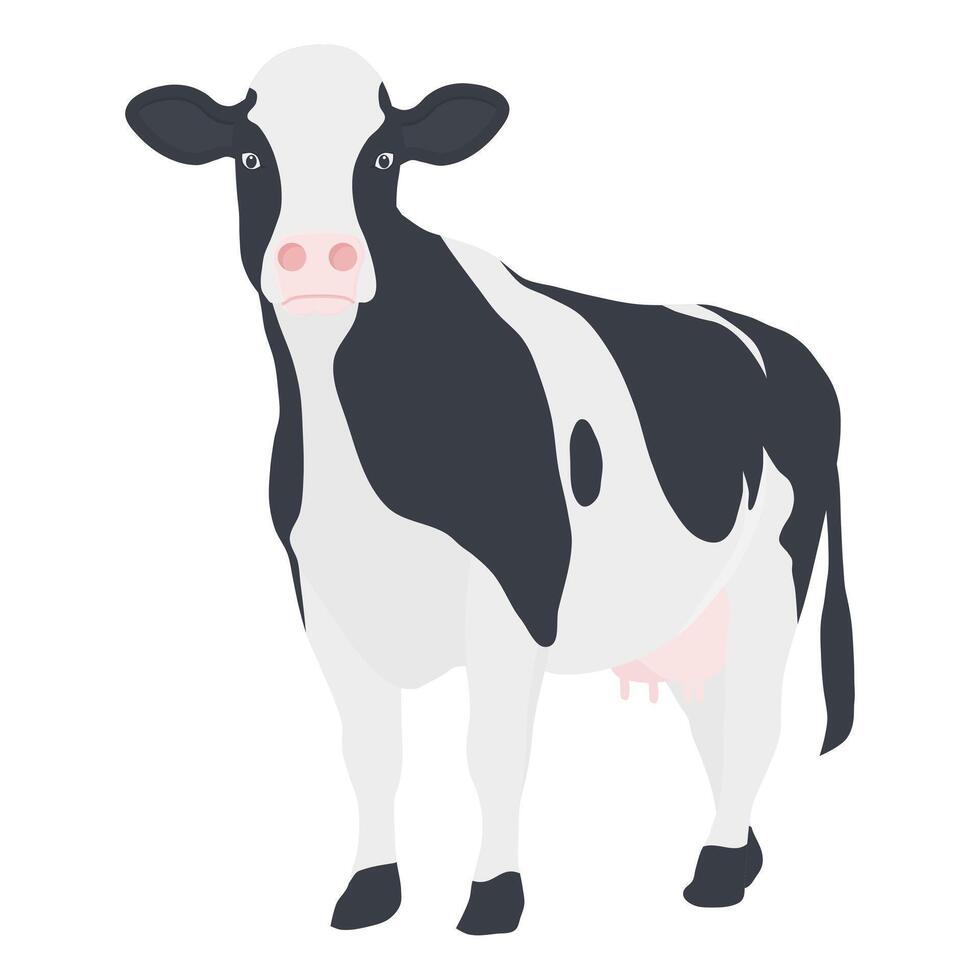 Cow Animal Livestock. Standing Cow Element. Black and White Cow. vector