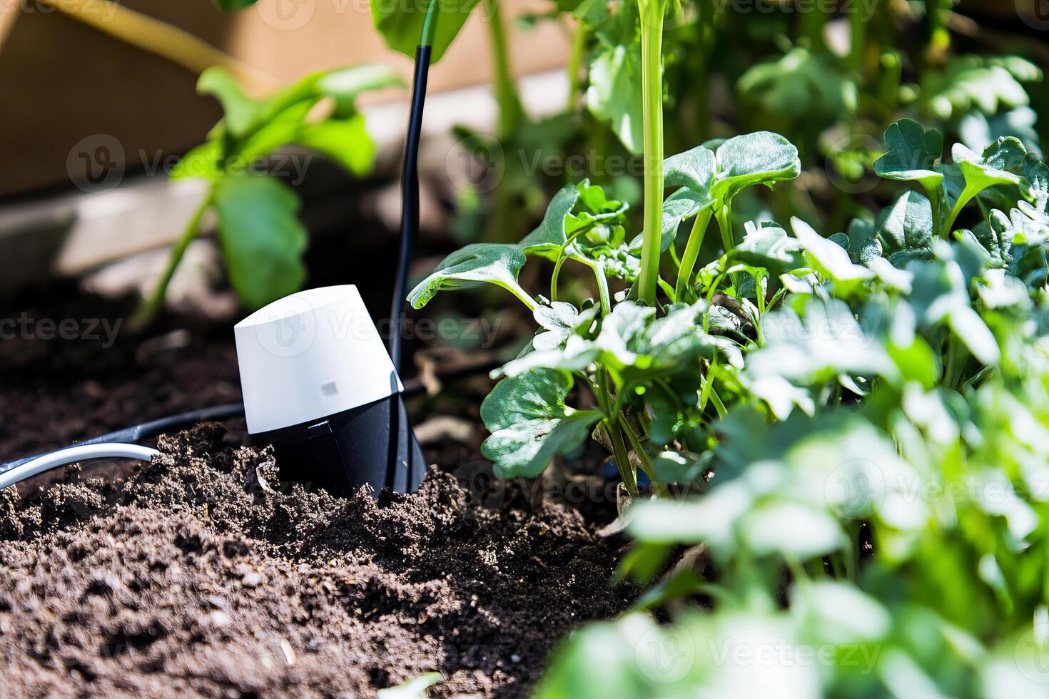 Smart garden sensor in lush greenery for efficient plant care photo