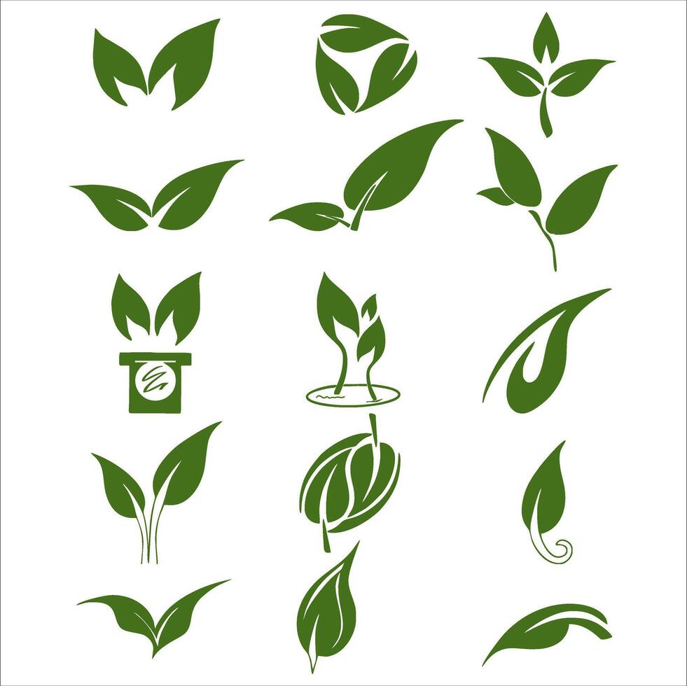 Illustration of bundle leaves on white background vector