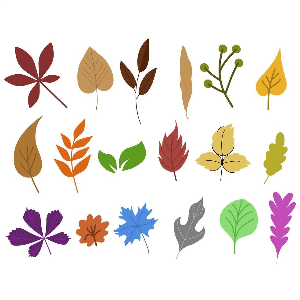 Autumn Leaves Collection vector
