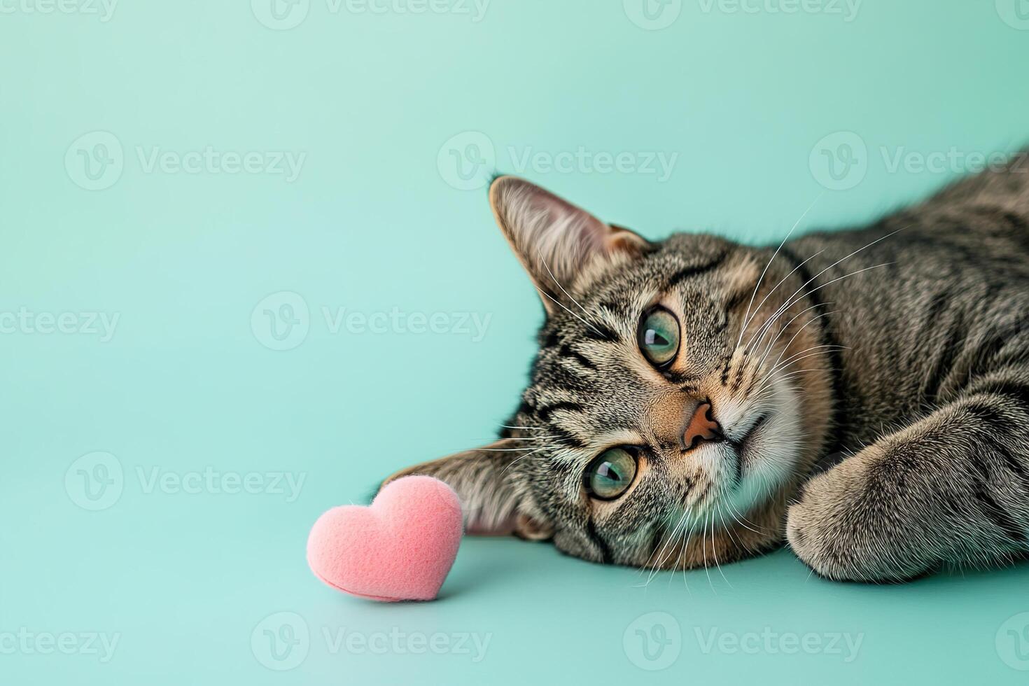 adorable tabby cat lying with small pink heart on blue background photo