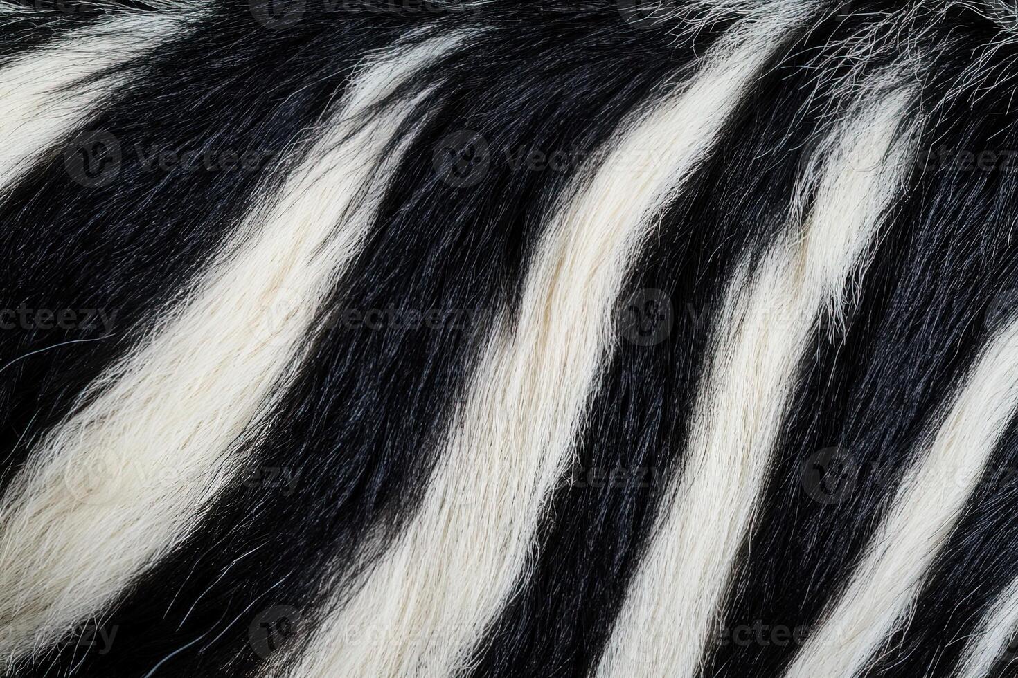 close-up abstract natural background texture black and white zebra stripes print photo