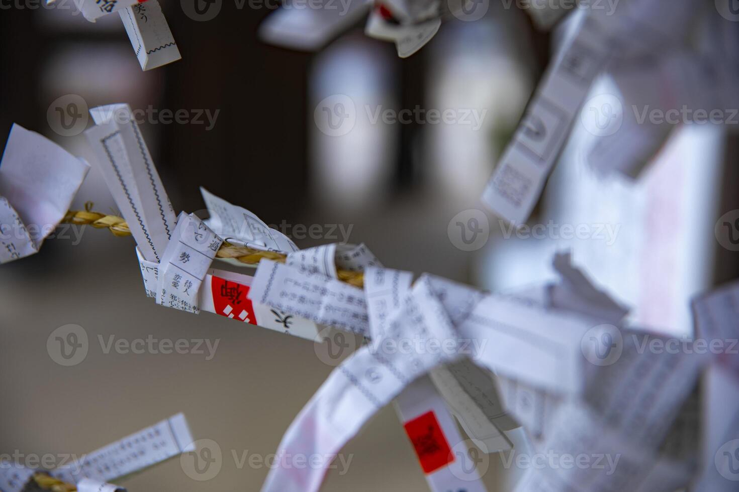 Oracles at Oomiya hachiman shrine in Tokyo photo