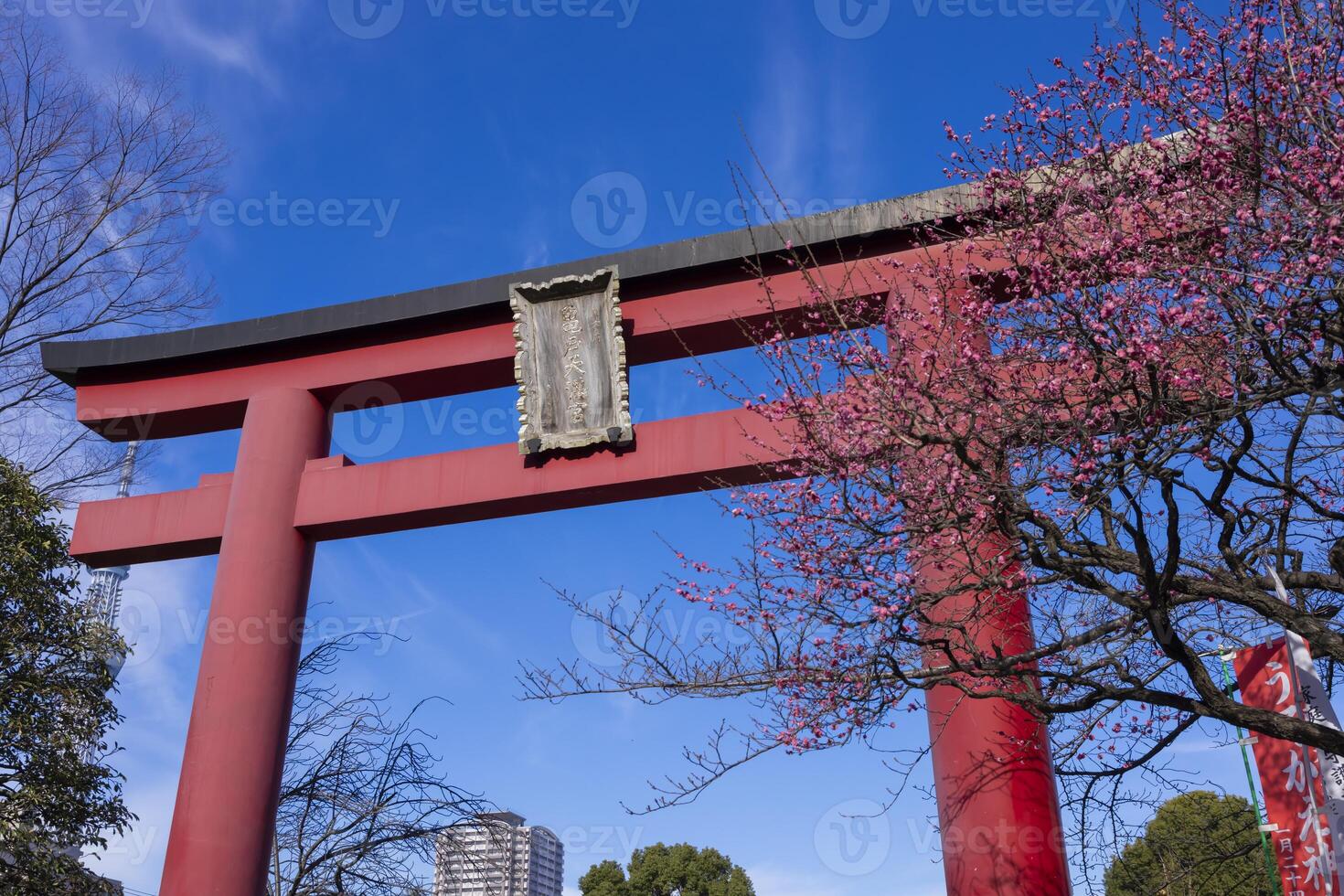 A main red gate Torii at Kameido Tenjin shrine in Tokyo photo