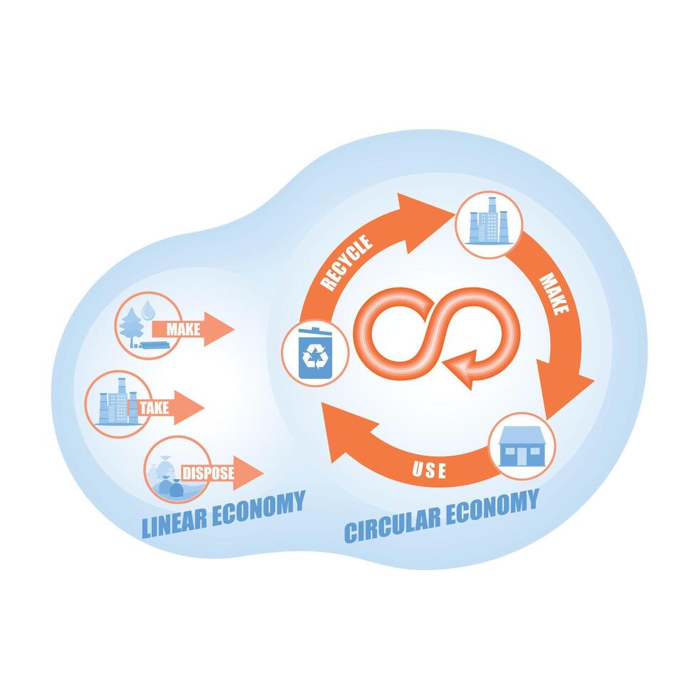 Comparison of linear and circular economy infographics with recycling and resource utilization. vector