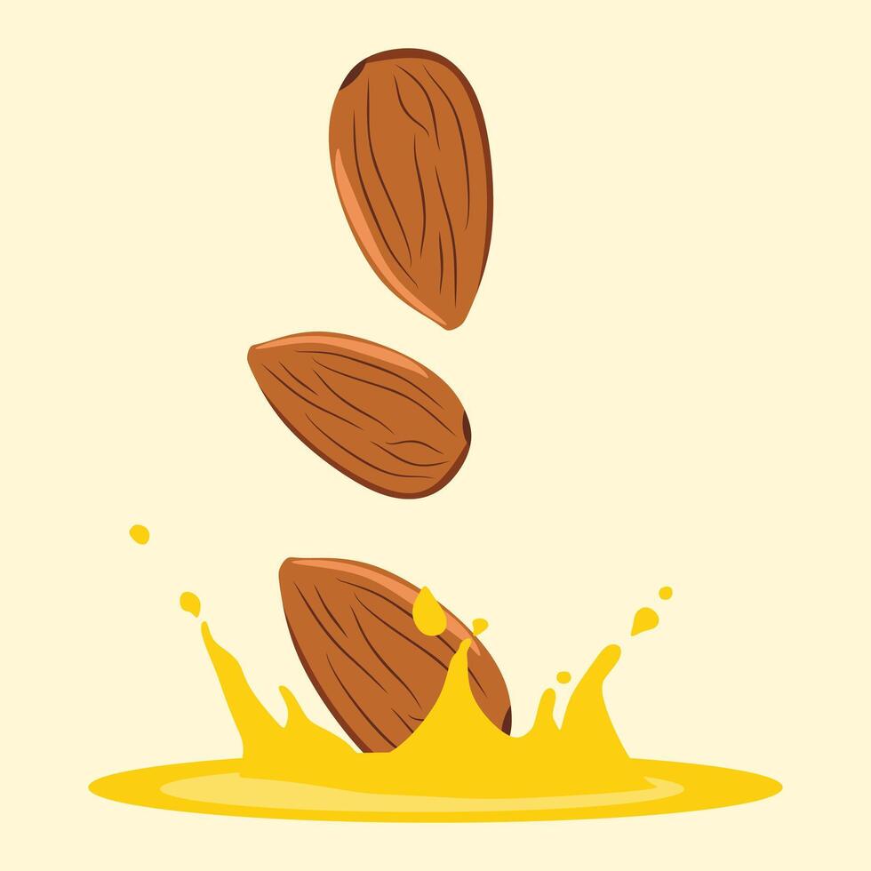 Almond nuts falling into almond splash and oil illustration design with off white background vector