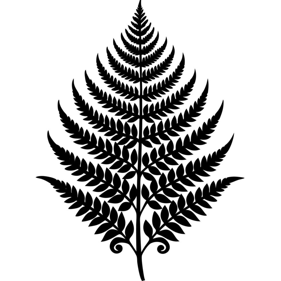 Detailed Stylized Fern Leaf Artwork for Botanical Themes vector