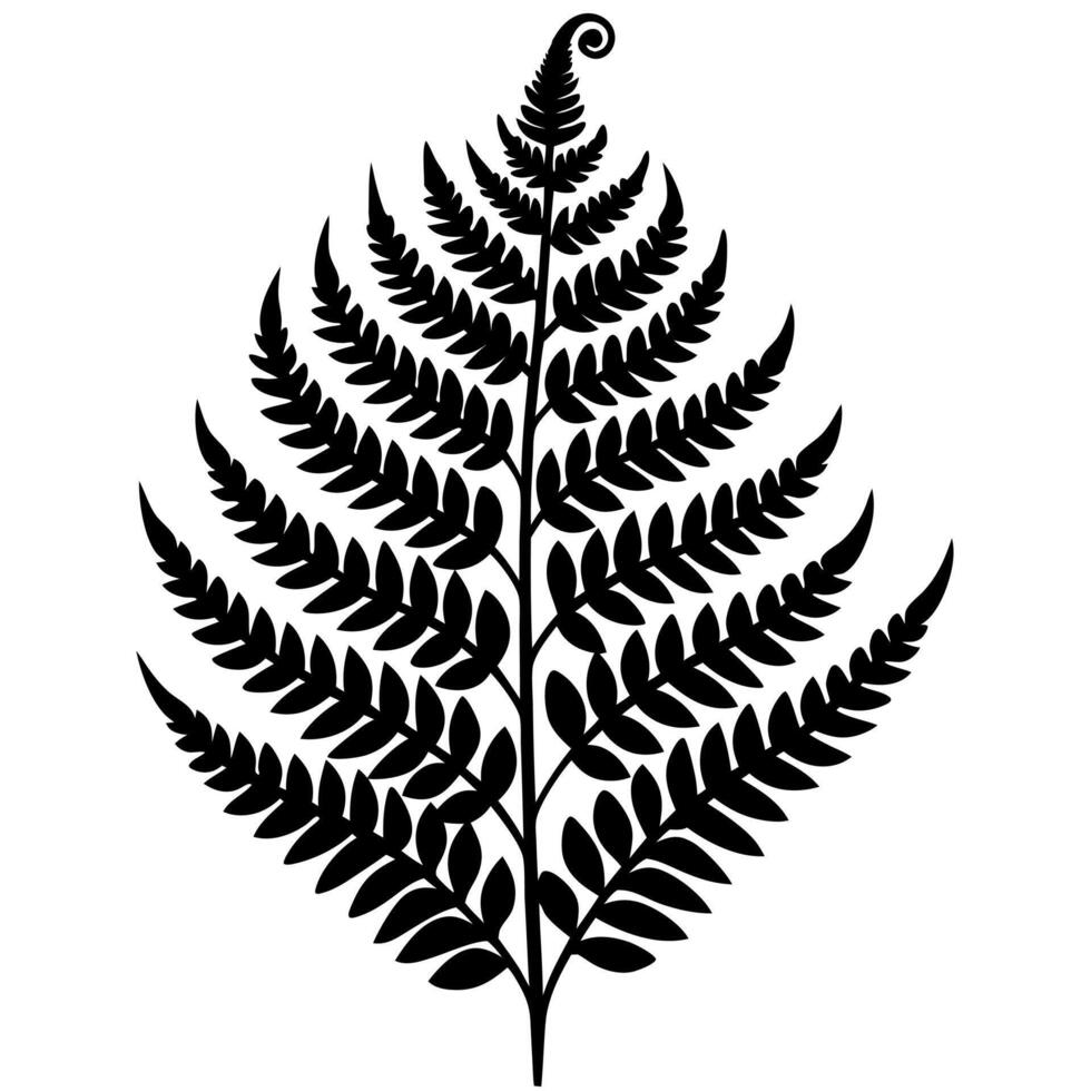 Modern Botanical Fern Leaf Illustration with a Natural Aesthetic vector