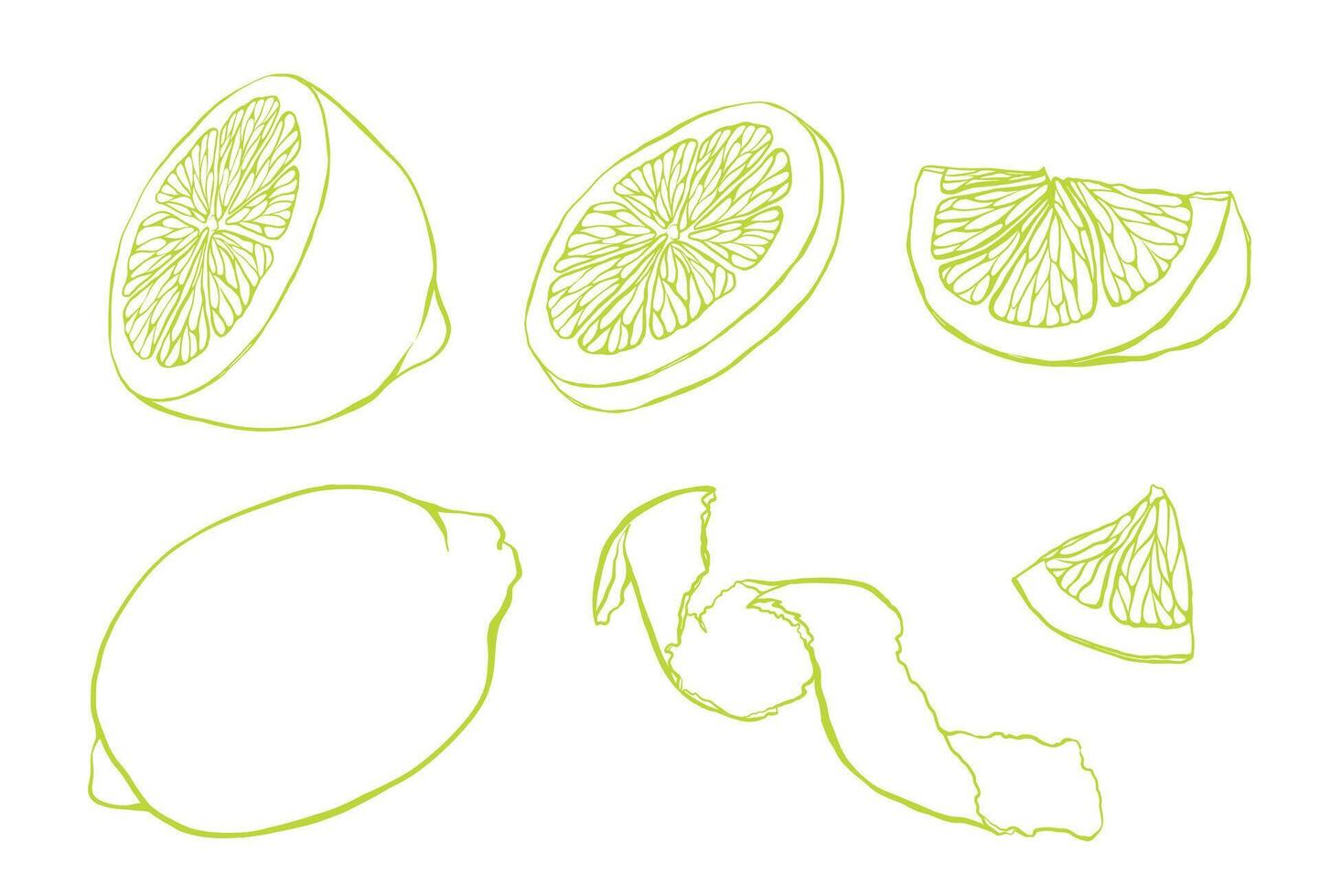 Set of slice and whole lemon, peel or zest of Lemon and isolated on white background. ink vintage engraving illustration for menu, web and label. Hand drawn in a graphic linear drawing citrus. vector