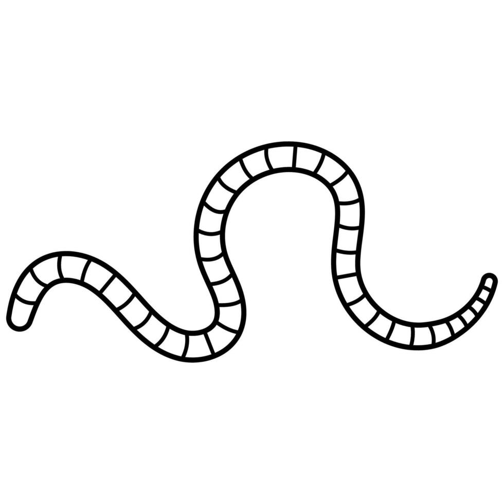 Black and White Worm Line Art, worm insect invertebrate animal vector