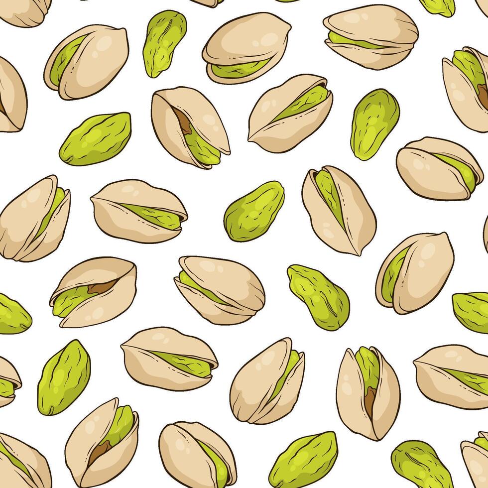 Seamless pattern with pistachio nuts on white background, hand-drawn illustration vector
