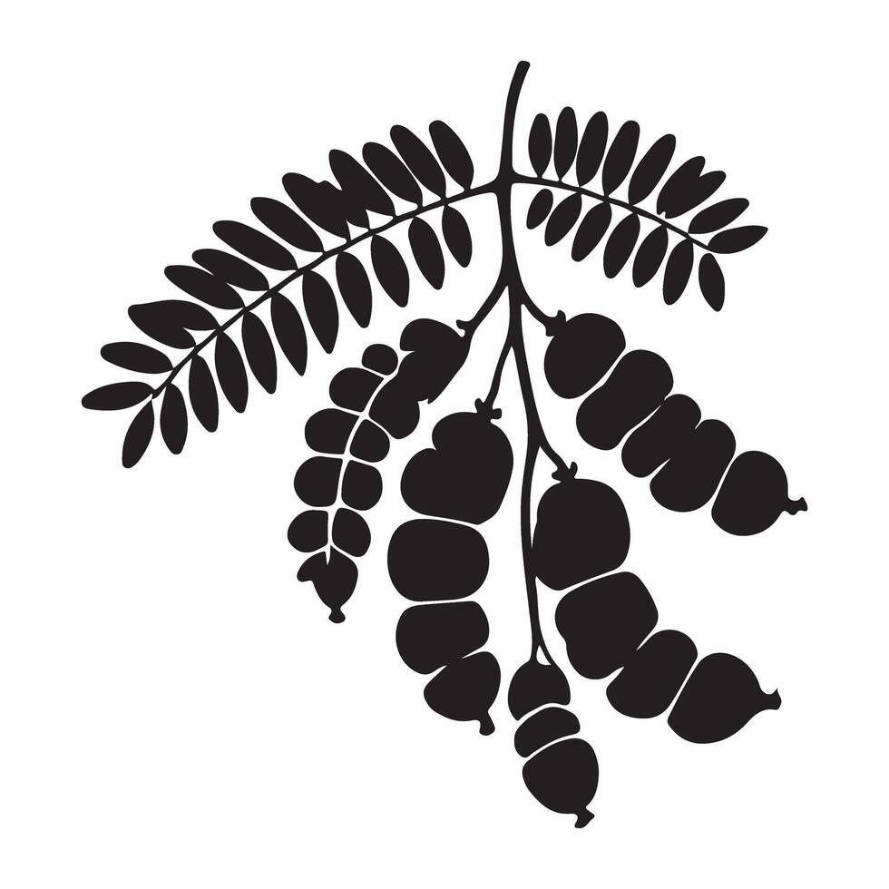 Tamarind Silhouette Tropical Fruit Tree Illustration vector
