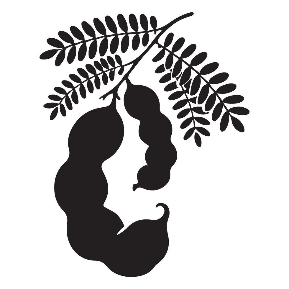 Tamarind Fruit Branch Silhouette Illustration vector